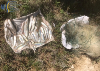 На Миколаївщині піймали браконьєрів, які зловили 4 кг риби, 19 кг креветки і 2 кг раків (ФОТО)