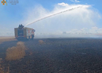 Через обстріли на Миколаївщині горіла пшениця на корені (ФОТО)
