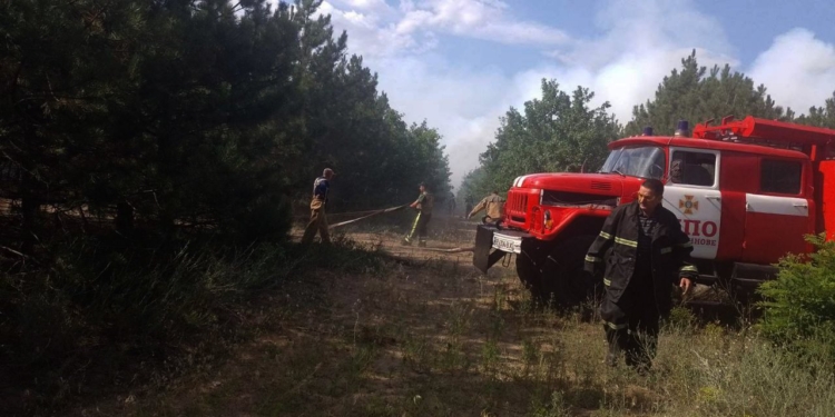 Через російські обстріли на Миколаївщині горів ліс та поля. Повне зведення по пожежам за добу (ФОТО)