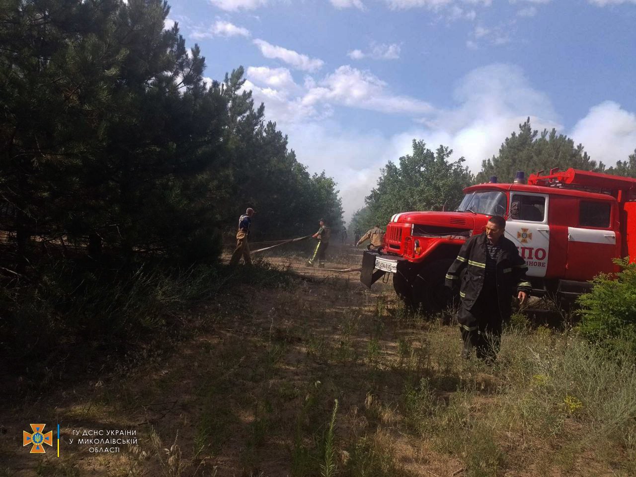 Через російські обстріли на Миколаївщині горів ліс та поля. Повне зведення по пожежам за добу (ФОТО)