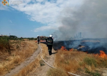 На Миколаївщині вигоріло більше 29 га відкритих територій (ФОТО)