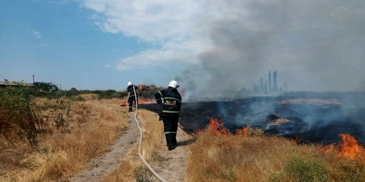 На Миколаївщині вигоріло більше 29 га відкритих територій (ФОТО)