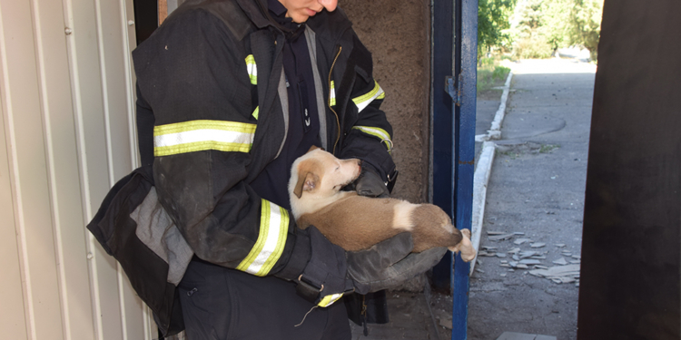 Ранкова ракетна атака по двом університетам Миколаєва: рятувальники загасили пожежі, комунальники прибрали (ФОТО, ВІДЕО)