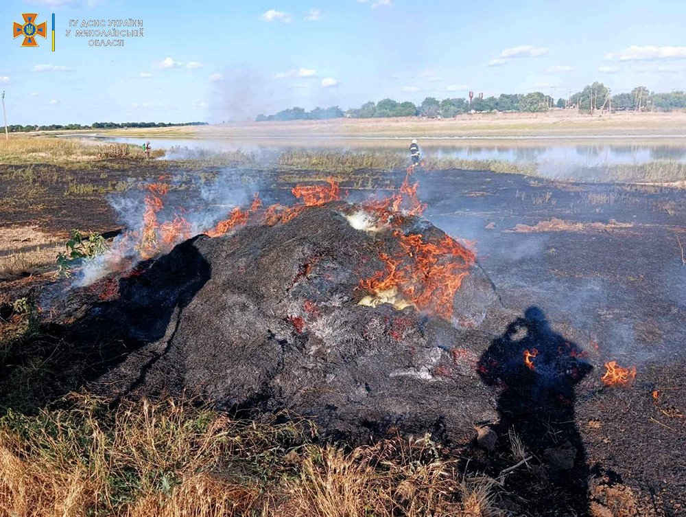 На Миколаївщині з 11 пожеж за добу одна виникла через російські обстріли (ФОТО) 12