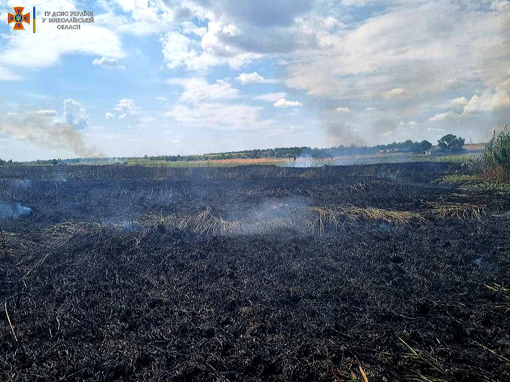 На Миколаївщині вигоріло більше 29 га відкритих територій (ФОТО) 12