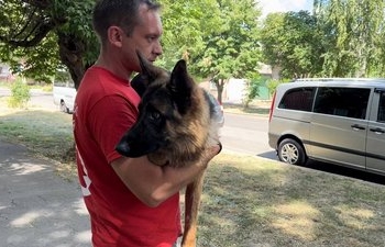 Миколаївські волонтери Червоного Хреста дістали з-під завалів вівчарку (ВІДЕО)