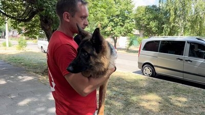 Миколаївські волонтери Червоного Хреста дістали з-під завалів вівчарку (ВІДЕО)