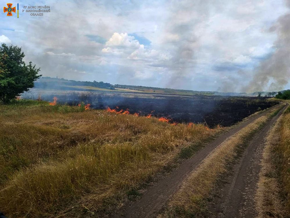 На Миколаївщині вигоріло більше 29 га відкритих територій (ФОТО) 14