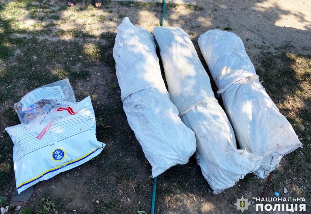 У Миколаївському районі поліцейські вилучили у чоловіка 108 кущів коноплі (ФОТО) 13