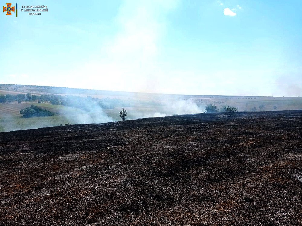 На Миколаївщині вигоріло більше 29 га відкритих територій (ФОТО) 16