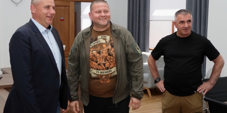 Украину посетила делегация венгерских военных – увидели Ирпень, Бородянку, Гостомель, были в Николаеве (ФОТО)