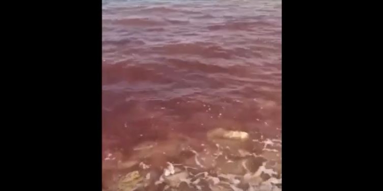 Природа намекает? В рф вода в Черном море стала красной (ВИДЕО)