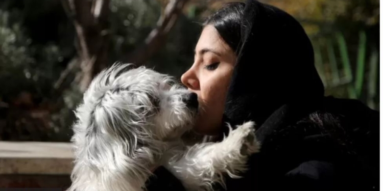 У в’язницю за собаку. Чому в Ірані хочуть заборонити домашніх тварин (ФОТО)