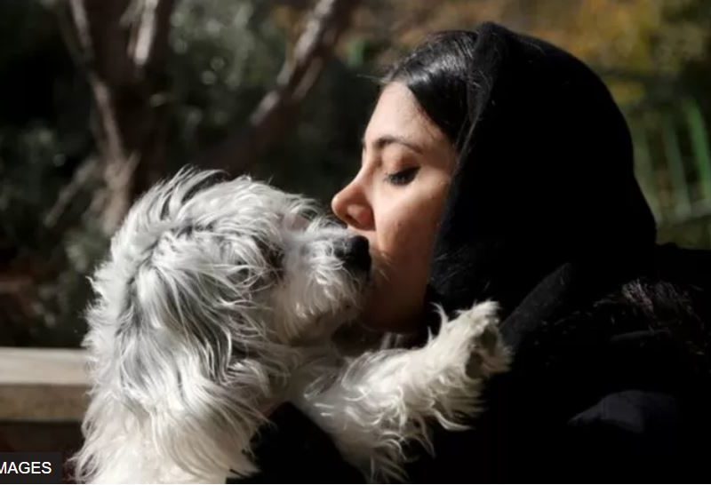 У в’язницю за собаку. Чому в Ірані хочуть заборонити домашніх тварин (ФОТО)
