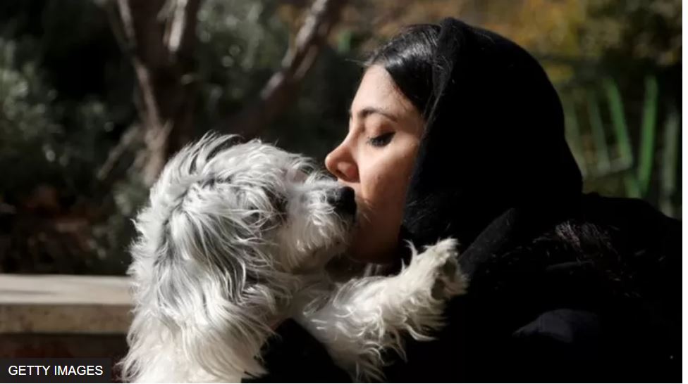У в'язницю за собаку. Чому в Ірані хочуть заборонити домашніх тварин (ФОТО) 5