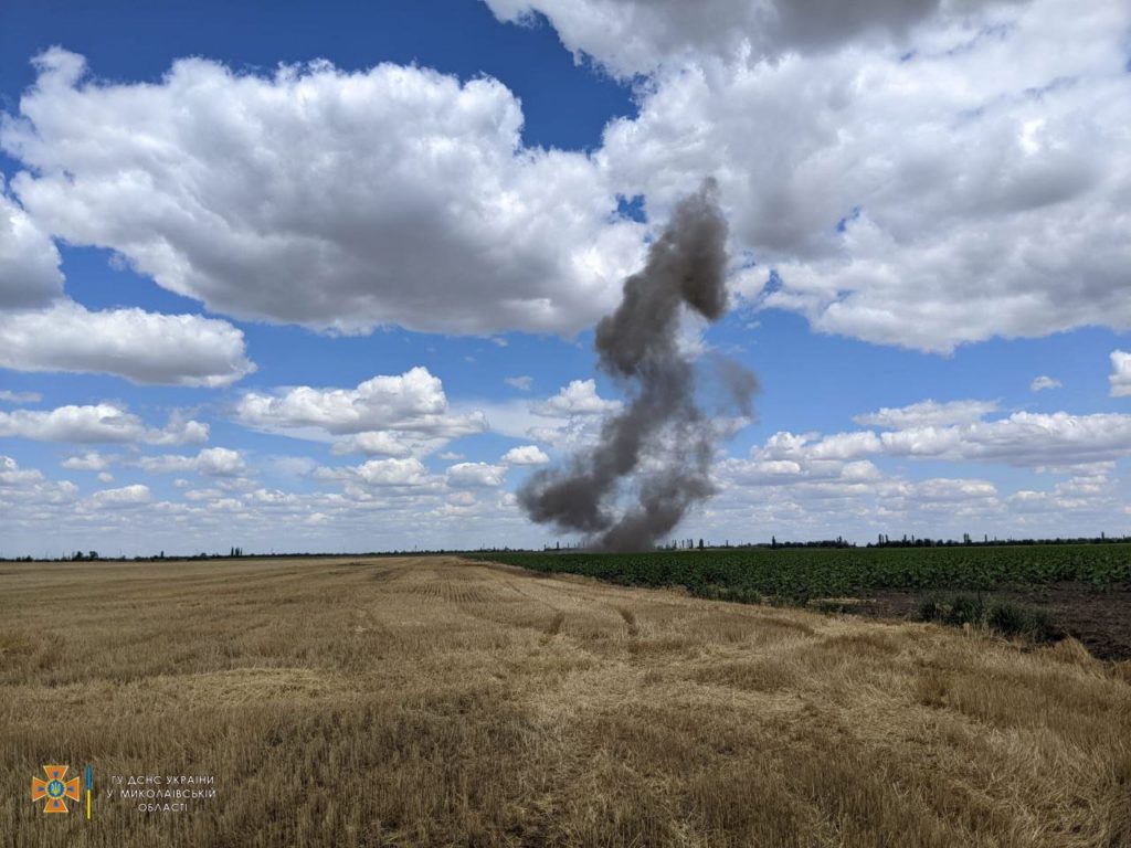 Через російські обстріли на Миколаївщині горів ліс та поля. Повне зведення по пожежам за добу (ФОТО) 18