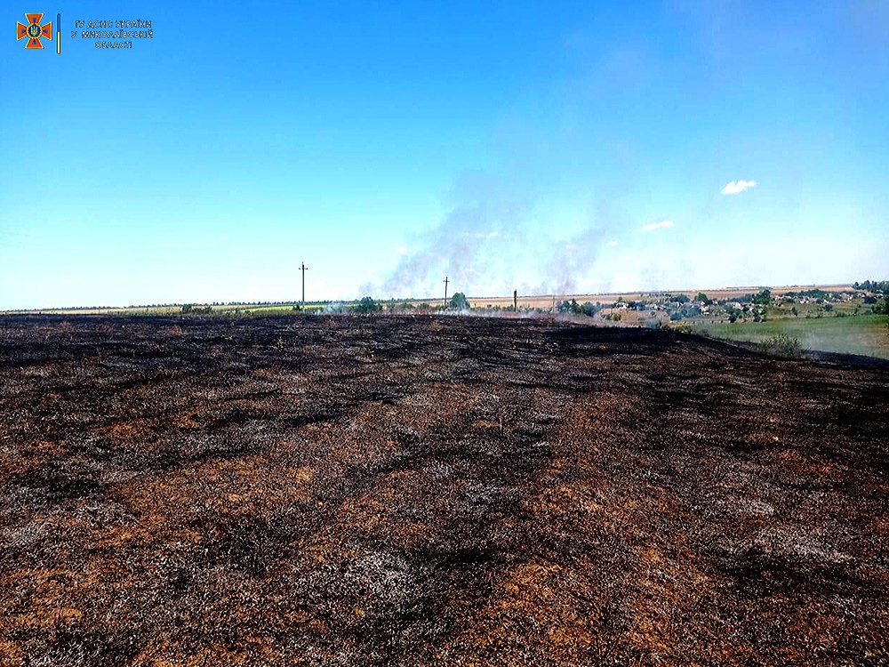 На Миколаївщині вигоріло більше 29 га відкритих територій (ФОТО) 18