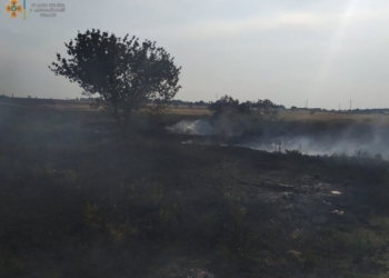 Через обстріли і ні: на Миколаївщині за добу вигоріло 67 га ячменю і пшениці (ФОТО)