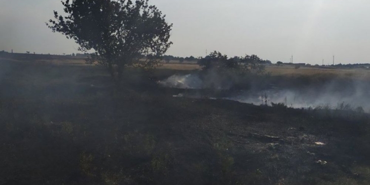 Через обстріли і ні: на Миколаївщині за добу вигоріло 67 га ячменю і пшениці (ФОТО)