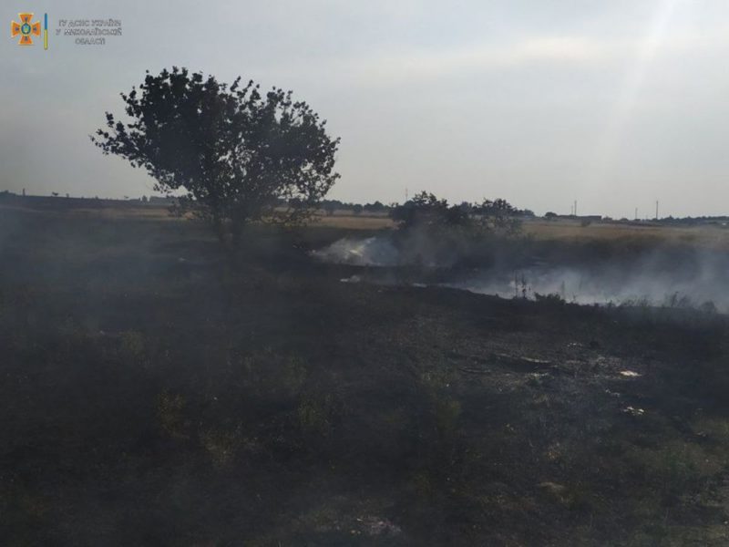 Через обстріли і ні: на Миколаївщині за добу вигоріло 67 га ячменю і пшениці (ФОТО)