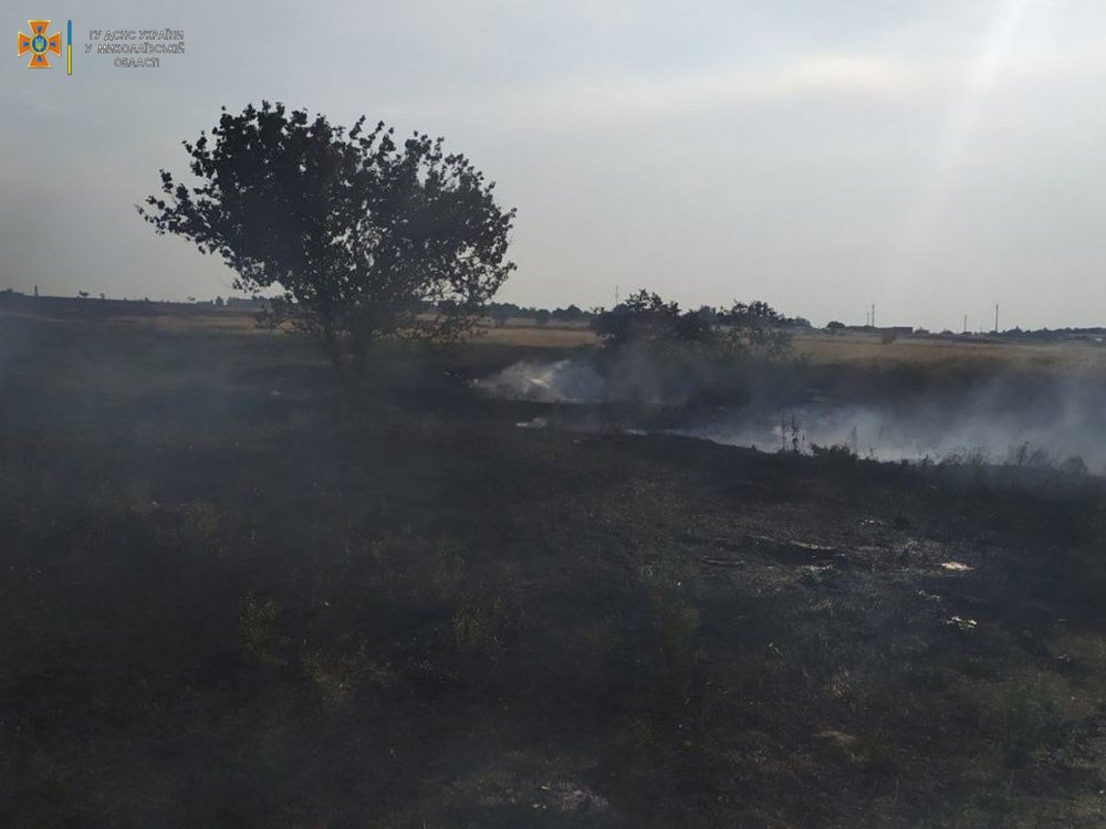 Через обстріли і ні: на Миколаївщині за добу вигоріло 67 га ячменю і пшениці (ФОТО) 21