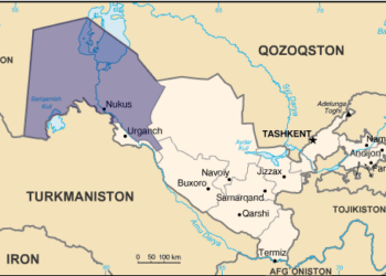 Власти Узбекистана жестоко подавили массовые протесты каракалпаков. И удовлетворили их требование (ВИДЕО)