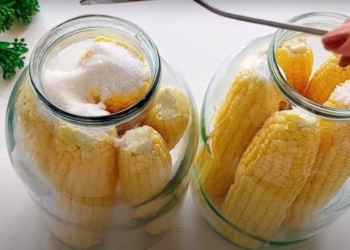 Чтобы зима не была голодной. Кукуруза консервированная в початках (ФОТО)