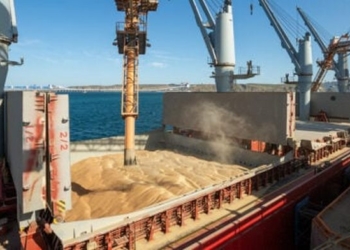 Перше судно з українським зерном вийде з Одеси до Туреччини на наступному тижні