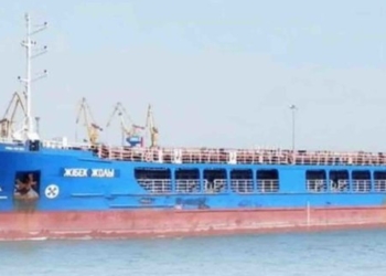 До турецького порту зайшло російське судно з краденим зерном із Бердянська. Україна просить його заарештувати