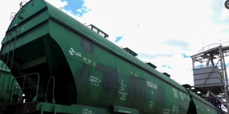 В Украине арестовали уже 315 вагонов с удобрениями из России и Беларуси. Больше половины – в Николаеве