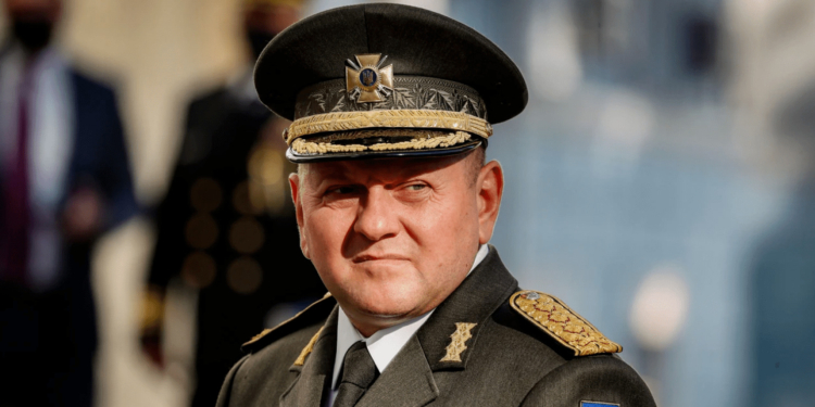 Главнокомандующему ВСУ Валерию Залужному 49: пять фактов из биографии “Железного генерала”