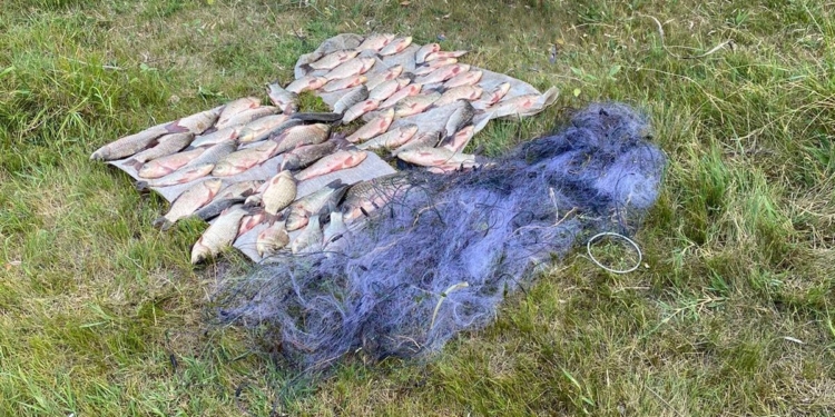 Вчорашній «улов» Миколаївського рибоохранного патруля: браконьєр з 13 кг риби та «нічийні» 9 сіток (ФОТО)