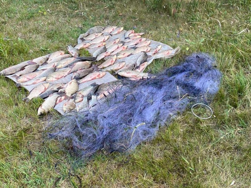 Вчорашній «улов» Миколаївського рибоохранного патруля: браконьєр з 13 кг риби та «нічийні» 9 сіток (ФОТО)