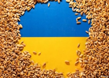 У Стамбулі розпочалася чотиристороння зустріч з експорту зерна з України