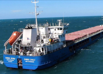 Корабль РФ с краденым украинским зерном вышел из турецкого порта