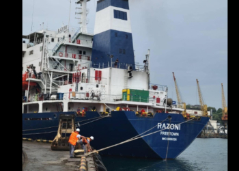 Перший корабель з українським зерном вийшов у Чорне море