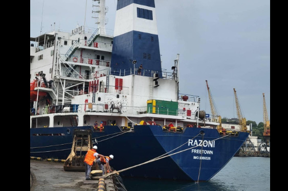 Перший корабель з українським зерном вийшов у Чорне море