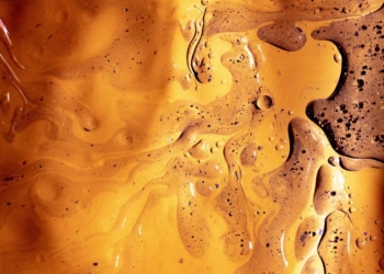 У Франції дозволять заправляти машини рослинною олією