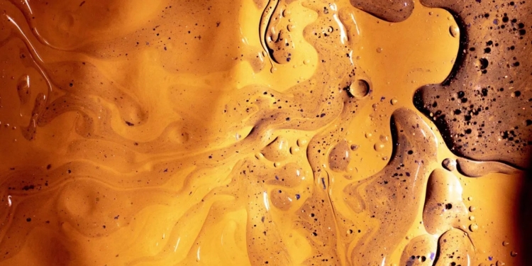 У Франції дозволять заправляти машини рослинною олією