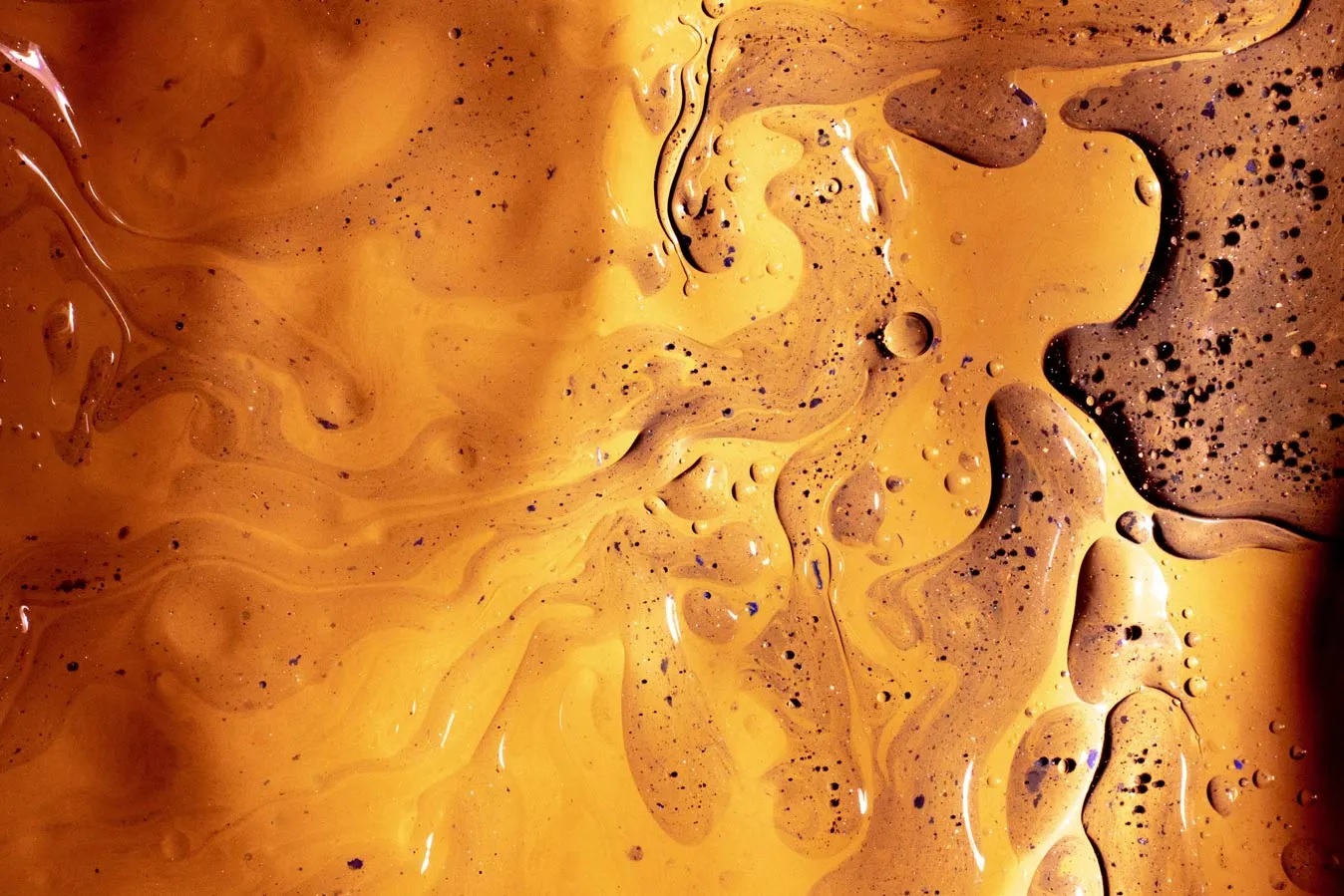 У Франції дозволять заправляти машини рослинною олією