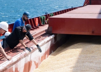 Чотири українських судна із кукурудзою, борошном і олією отримали дозвіл на вихід з українських портів