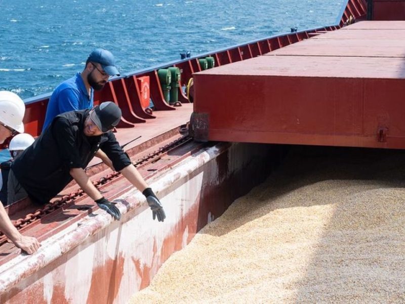 Чотири українських судна із кукурудзою, борошном і олією отримали дозвіл на вихід з українських портів