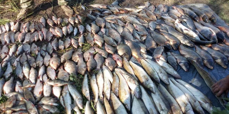У Вознесенському районі браконьєр сітками виловив 152 кг риби – тут його і упіймав Миколаївський рибоохоронний патруль (ФОТО)