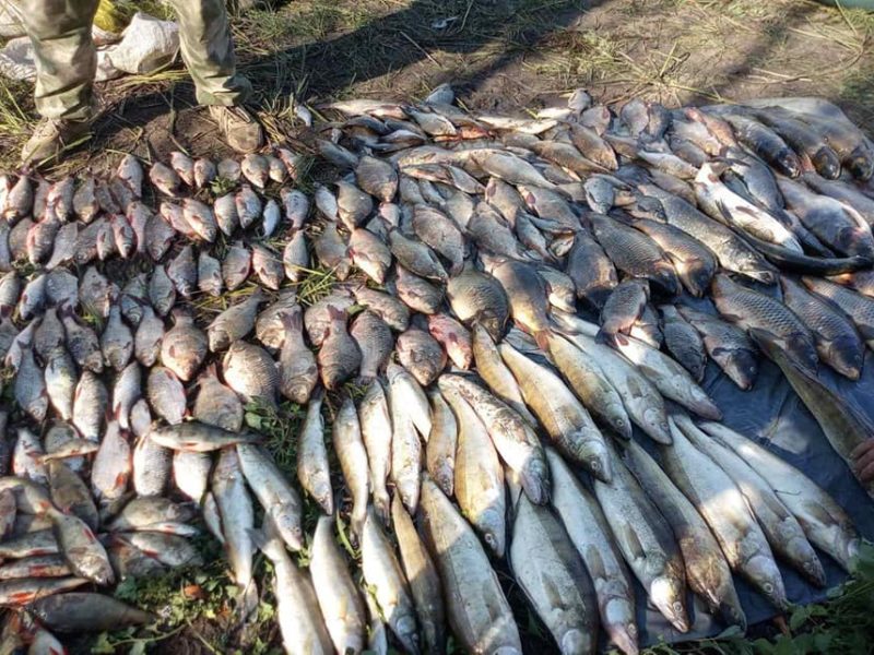 У Вознесенському районі браконьєр сітками виловив 152 кг риби – тут його і упіймав Миколаївський рибоохоронний патруль (ФОТО)