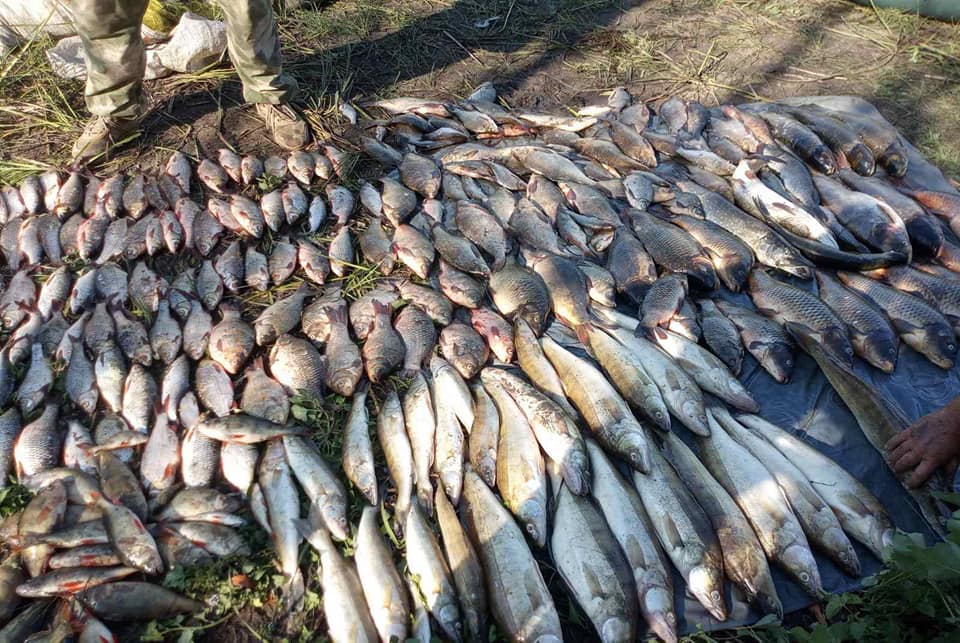 У Вознесенському районі браконьєр сітками виловив 152 кг риби – тут його і упіймав Миколаївський рибоохоронний патруль (ФОТО) 1