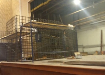 Російські пропагандисти повідомляють, що у СІЗО в “ДНР” помер один з українських полонених захисників Маріуполя