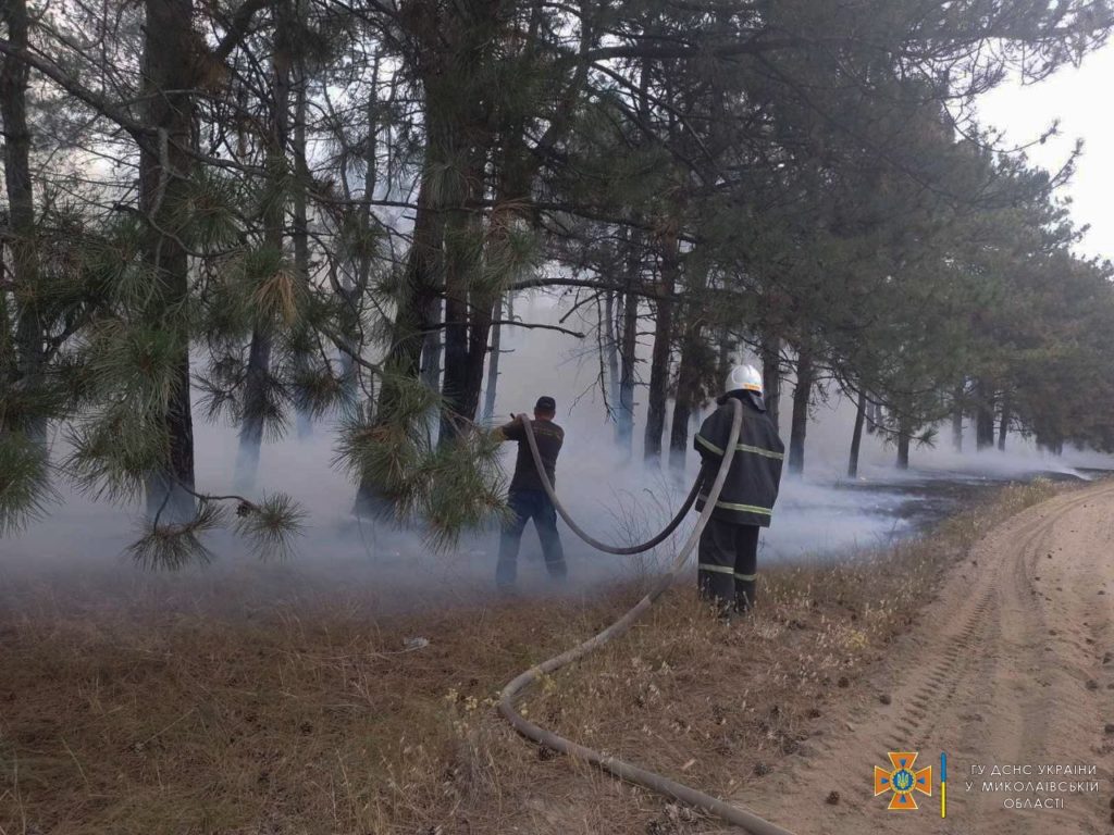 На Миколаївщині за добу вигоріло 1 га лісу і 4 га відкритих територій (ФОТО) 1