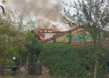 На Миколаївщині за добу було три «мирні» пожежі (ФОТО)