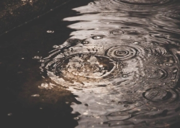 На Землі не лишилось місця, де можна безпечно пити дощову воду