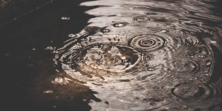 На Землі не лишилось місця, де можна безпечно пити дощову воду